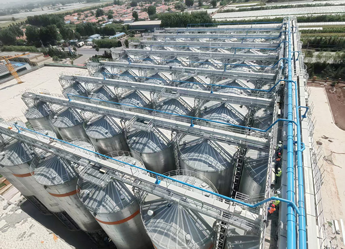 中糧糧谷濰坊新建 90萬噸/年小麥加工項目輸送設(shè)備