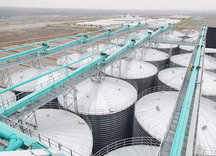 甘肅紅太陽面業(yè)集團(tuán)項目筒倉輸送設(shè)備